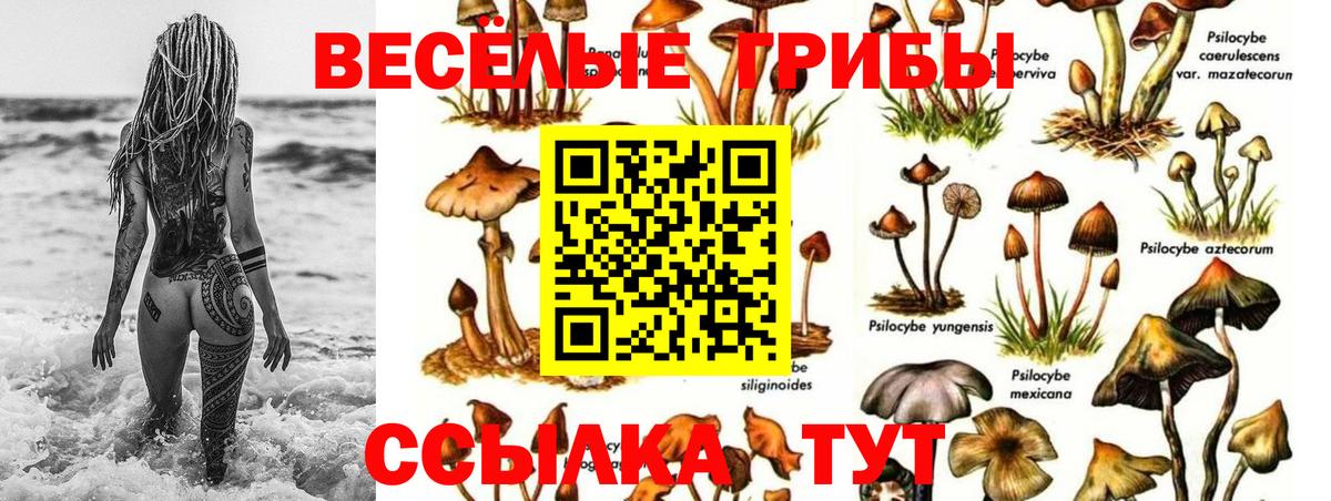 Россошь  Псилоцибиновые грибы Magic Shrooms  Вход с VPN 