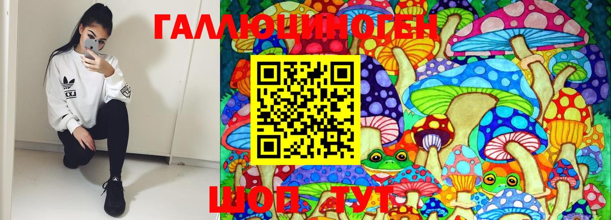 Псилоцибиновые грибы Psilocybe Россошь
